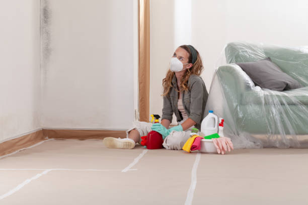 Reliable Mold Inspection contractor in Brogue, PA by WQB Mold Removal